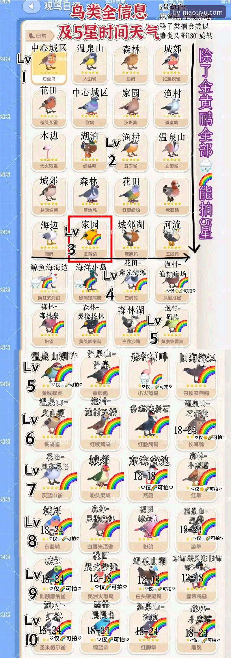 NIAOTIYU官网唯一入口下载指南：安全获取小鸟体育最新版本详解